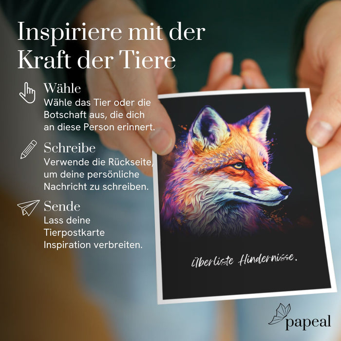 "Spirit Animals" Postcard Set - 44 Illustrated animal cards for conversation starter